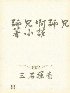 师兄啊师兄的原著小说封面