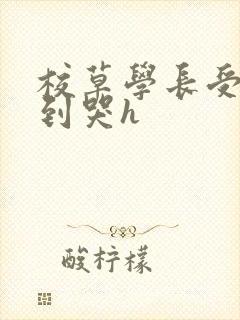 校草学长受被做到哭h封面