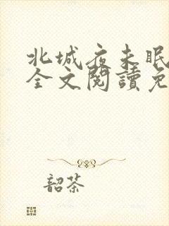 北城夜未眠小说全文阅读免费封面
