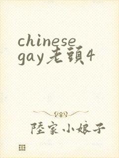 chinesegay老头4
