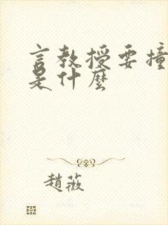 言教授要撞坏了是什么