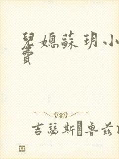 儿媳苏玥小说免费