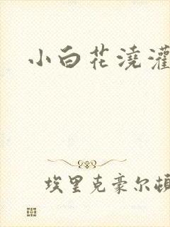 小白花浇灌日常封面