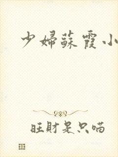 少妇苏霞小说