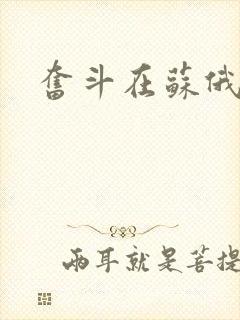 奋斗在苏俄
