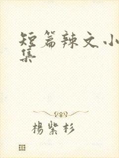 短篇辣文小说合集封面