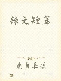 辣文短篇