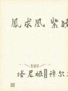 凤求凰 紫晓封面