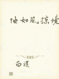 他如风掠境