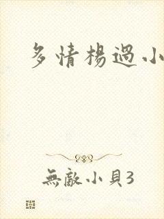 多情杨过小说封面