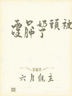 两只奶头被老头吸肿了封面