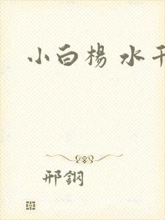 小白杨 水千丞封面