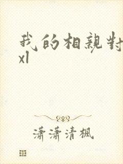 我的相亲对象是xl封面