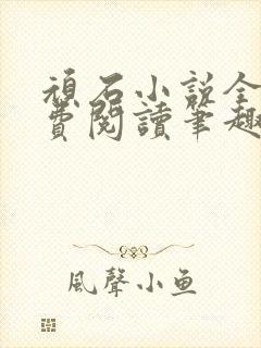 顽石小说全文免费阅读笔趣阁