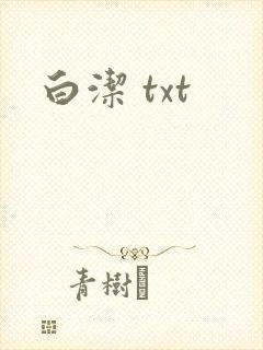 白洁 txt
