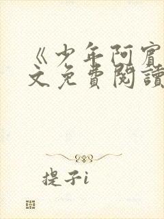 《少年阿宾》全文免费阅读