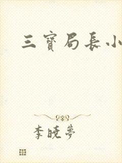 三宝局长小说封面