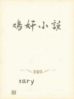 鸡奸小说