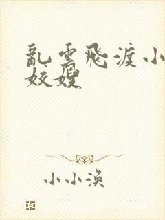 乱云飞渡小说之姣嫂
