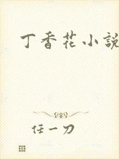 丁香花小说