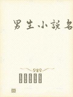 男生小说名字封面
