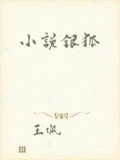 小说银狐封面