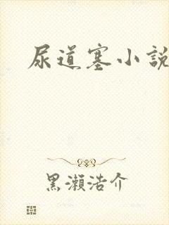 尿道塞小说