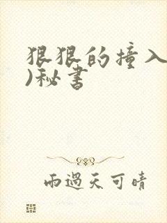 狠狠的撞入(h)秘书