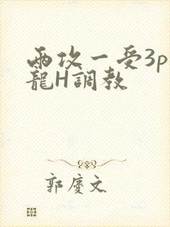 两攻一受3p双龙H调教