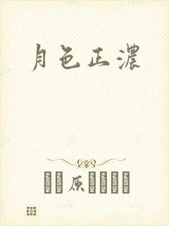 月色正浓封面