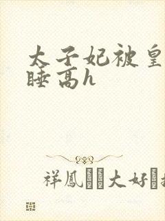 太子妃被皇上强睡高h