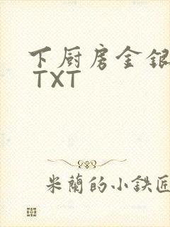 下厨房金银花露 TXT封面