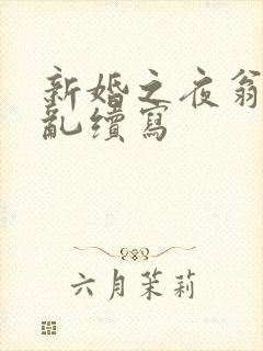 新婚之夜翁莹情乱续写