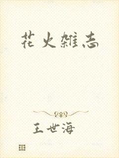 花火杂志