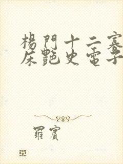 杨门十二寡妇肉床艳史电子书