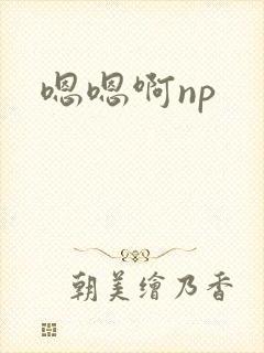 嗯嗯啊np封面