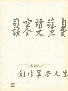 司空靖苏月汐小说全文免费阅读封面