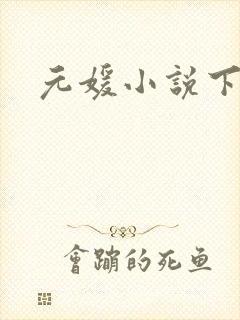 元媛小说下载