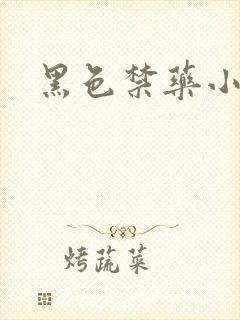 黑色禁药小说