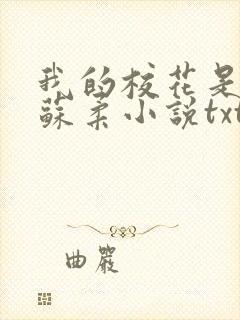 我的校花是福姬苏柔小说txt