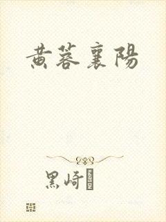 黄蓉襄阳