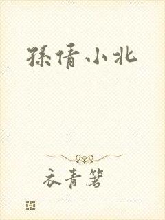 孙倩小北封面
