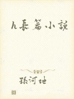 h长篇小说封面