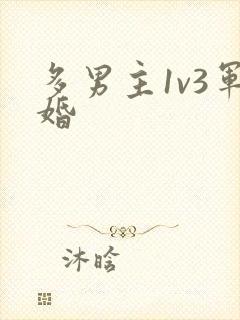 多男主1v3军婚