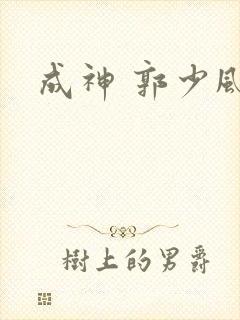 成神 郭少风