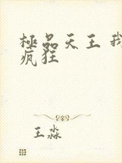 极品天王 我本疯狂