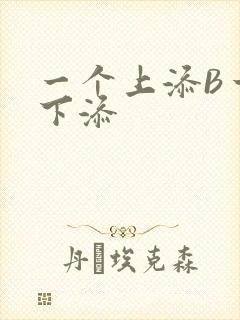 一个上添B一个下添