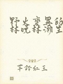 野火变异的父爱林晚林潮生封面