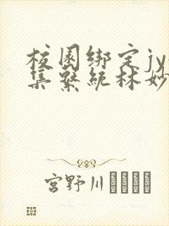 校园绑定jy收集系统林妙妙
