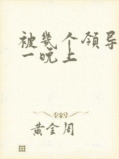 被几个领导玩弄一晚上